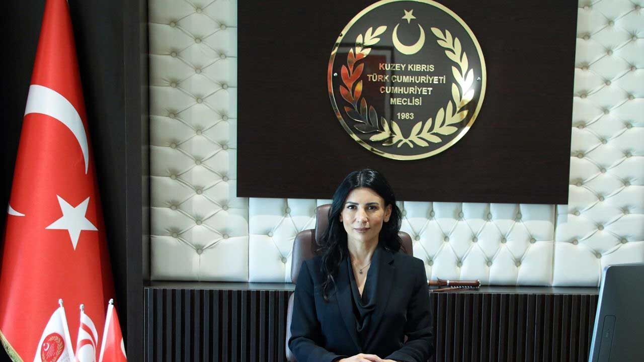 Özdenefe: AP, Kıbrıslı Türk kadınları ve adadaki gerçekliği yok saydı