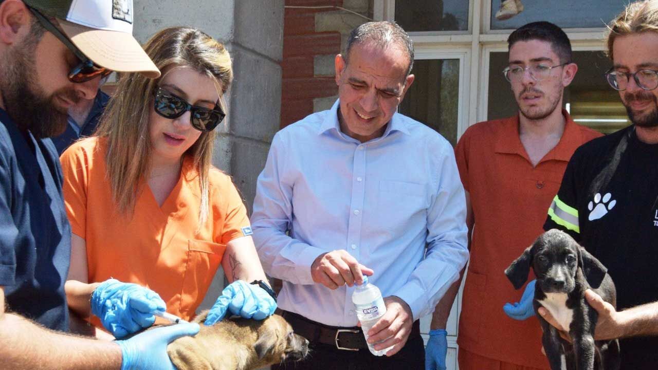 Lefkoşa Barınağı’ndaki hayvanlara sağlık kontrolü