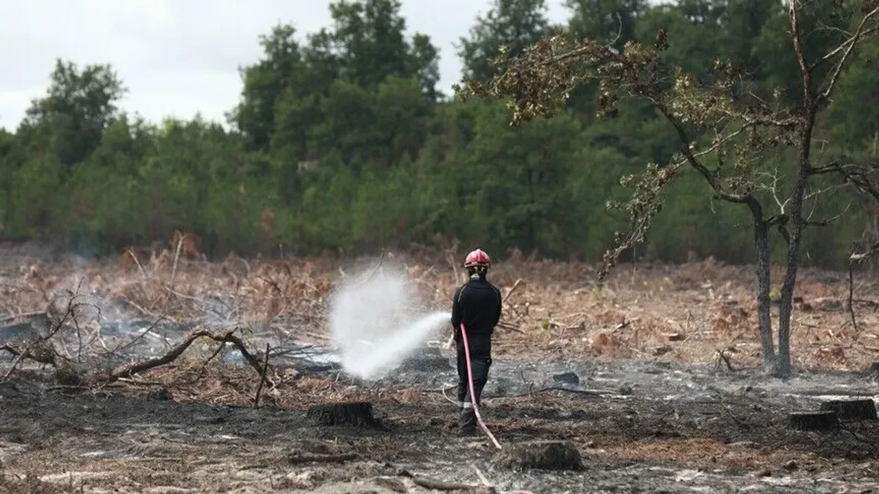 Fransa'nın Lozere vilayetinde ormanlık alanda çıkan yangında 250 hektarlık alan kül oldu