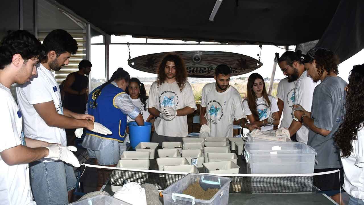 Daü-SAGEM öncülüğünde yavru deniz kaplumbağaları deniz ile buluştu