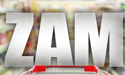 Güney'de en fazla elektrik, su ve tüp zamlandı
