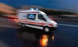 Dipkarpaz'da kaza: Ambulans eşeğe çarptı!