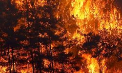 KKTC'de orman yangınına neden olmanın cezası 100 asgari ücret ve 15 yıl hapis cezası…