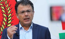 Akansoy: Ormanlar tarihi bir salgın hastalıkla baş başa bırakıldı