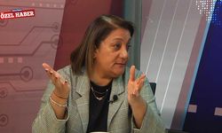 Manavoğlu: Türkiye’nin buraya istisna bir hibe programı açması lazım