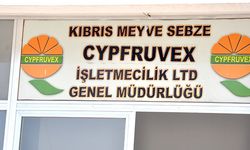 Cypfruvex valensiya ürününü tonu 5 bin TL’ye alacak