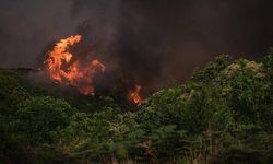 İspanya'daki orman yangını 5. gününde devam ediyor