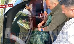 Polis göz açtırmadı... Metehan'da 190 kilo kaçak et yakalandı!