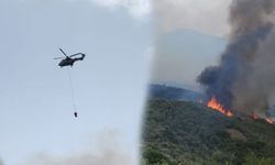 Yeşilırmak'ta yangın... Türkiye'den ve Güney Kıbrıs'tan helikopter istendi