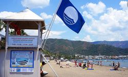 Şenkul: An itibari ile plajlarımız tertemiz