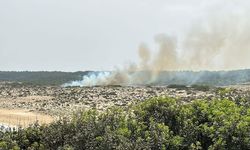 Karpaz'da korkutan yangın!