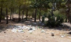 İşte ülkenin gerçeği... Av. Ahmet Said Sayın yazdı: Belediye Başkanlarının Yarışı