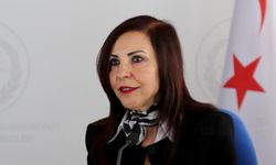 Emine Dizdarlı: Anayasa kurallarını hiçe sayan Milletvekilleri yüce olabilir mi?