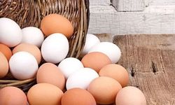 Beyaz mı, kahverengi mi? Hangi yumurta daha sağlıklı?