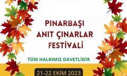 Pınarbaşı Anıt Çınarlar Festivali 21 Ekim'de yapılıyor...