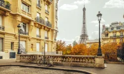 Paris’te tahtakuruları alarmı