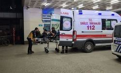 Mantar iki aileden 8 kişiyi zehirledi