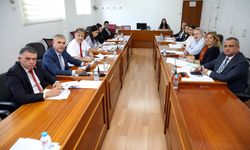 Meclis Sayıştay Komitesi toplandı