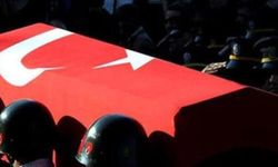 Zeytin Dalı Harekatı... 1 asker şehit oldu...