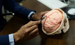 Bir ilk... Beyin bedenden ayrı canlı tutuldu...
