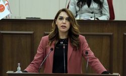 Kürşat: İspanya’dan gelecek olan damızlık hayvanlar nerede?