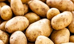 Belarus'un uzay araştırmaları fonu patatese dönüştü