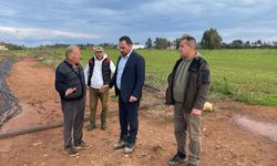 Tarım Bakanı Çavuş, Kuzucuk köyü üreticisiyle buluştu!