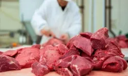 Restorancılar Birliği: İthal et kesinlikle düşünülmüyor