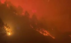 Çin'in Sıçuan eyaletinde geniş alanı etkileyen orman yangını sürüyor