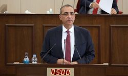 Toros: Kıbrıs sorunu ivedilikle çözümlenmeli