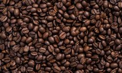 Dünyanın en popüler kahvesinin izi 600 bin yıl önceye kadar sürüldü