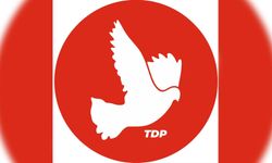 "TDP sadece meclise değil hükümete taliptir"