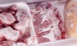 Gıda Mühendisleri Odası: İthal etler analiz edildi, mevzuata uygun