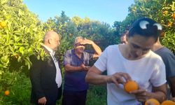 İŞAD, Akçay köyünde incelemelerde bulundu!