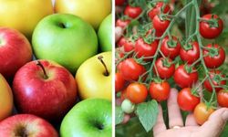 Elma ve çeri domateste limit üstü bitki koruma ürünü…