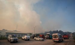 Bursa'da yangın üniversiteye sıçradı: Kontrol altına alındı