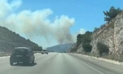 İzmir’de orman yangını: Havadan ve karadan müdahale başladı