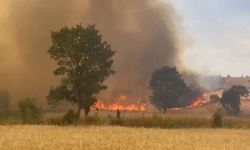 Türkiye'de üç ilde orman yangını: Havadan ve karadan müdahale sürüyor