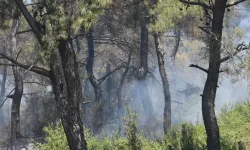 İzmir'de orman yangını! Uçaklar ve helikopterler bölgede