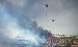 Limasol'da cuma günü çıkan yangınların nedeni kundaklama