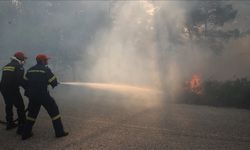 Yunanistan'da çıkan orman yangınına müdahale ediliyor