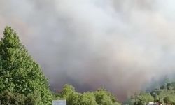Güney Lefkoşa'da yangın... Evler boşaltıldı!