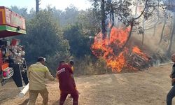 Adana’da orman yangını: Sert esen poyraz müdahaleyi zorlaştırıyor