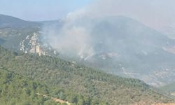 İzmir'deki orman yangını 2'nci gününde