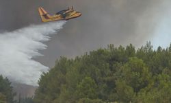 İzmir, Manisa, Bursa, Balıkesir ve Kütahya’da orman yangını: 1 kişi yaşamını yitirdi