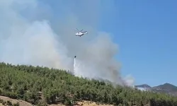 Hatay'da orman yangını: Havadan ve karadan müdahale sürüyor