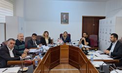 Meclis Komitesinde 1 Yasa Tasarısı, 2 de Yasa Önerisi görüşüldü