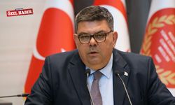 Berova: Yıllık enflasyon oranının yüzde 35 üzerinde olacağını düşünmüyoruz