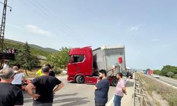 Seyir halindeyken arı soktu: Şoka girdi, trafik kitlendi