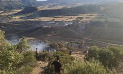 Kuruova bölgesindeki yangın korkuttu